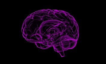 brain image.jpg